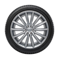 CENTARA 245/45ZR18 VANTI HP